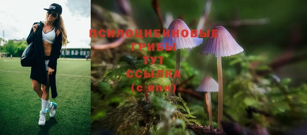 амф Абдулино