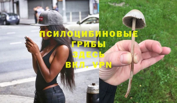 крисы Алексин