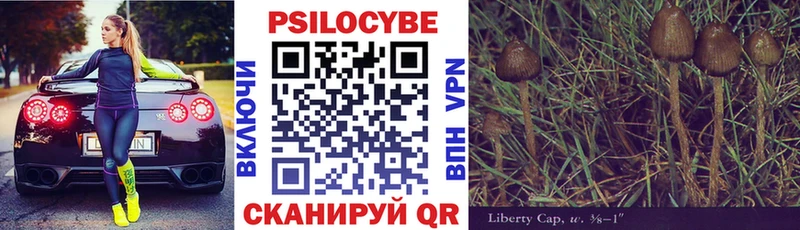 Галлюциногенные грибы Magic Shrooms Шахты
